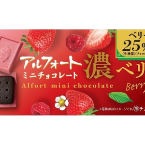 Bourbon Alfort Mini Chocolate Rich Berry