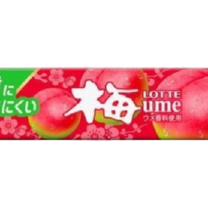 Lotte Non-Stick Plum Gum