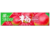 Lotte Non-Stick Plum Gum
