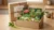 Japan Selections – Matcha Discovery Box