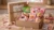 Japan Selections – Sakura Spring Explorer Box
