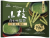Morinaga Koeda Combined Matcha TTP