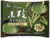 Morinaga Koeda Combined Matcha TTP