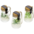 Green Bottle Arrangement